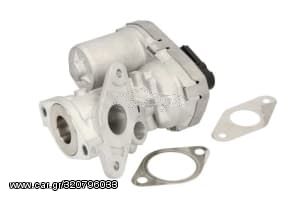 EGR Valve (New) - 71 789 686