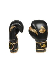 10oz Boxing Gloves Aureos Valor Series-thumb-1