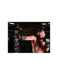 10oz Boxing Gloves Aureos Valor Series-thumb-12
