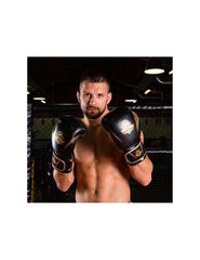 10oz Boxing Gloves Aureos Valor Series-thumb-14