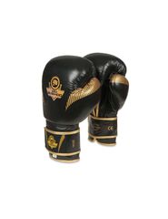 10oz Boxing Gloves Aureos Valor Series
