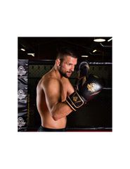 10oz Boxing Gloves Aureos Valor Series-thumb-13