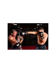 10oz Boxing Gloves Aureos Valor Series-thumb-16