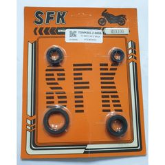 Τσιμούχες Kawasaki Max-100 set