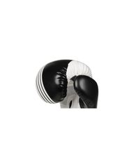 10oz Boxing Gloves Edge Valor Series-thumb-11