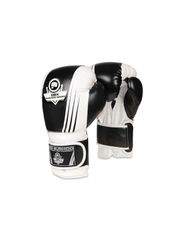 10oz Boxing Gloves Edge Valor Series