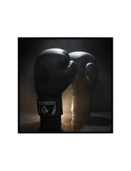 10oz Boxing Gloves Black Master Valor Series-thumb-3