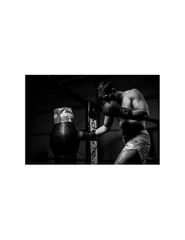 10oz Boxing Gloves Black Master Valor Series-thumb-13