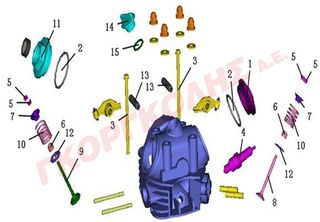 ΠΕΙΡΟΣ ΚΟΚΚΟΡΑΚΙΩΝ EG132-50030