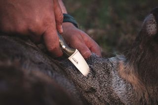 Casstrom Safari Mini Hunter Stabilised Curly Birch Stainless Steel-thumb-6