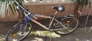 All - Mountain Sprint 2005 Avenger A26