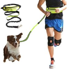 Λουρί με ζώνη ισχίου για τρέξιμο με σκύλο - μπλε
