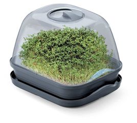 PROSPERPLAST Θερμοκήπιο Respana Table Greenhouse Small DREL260P-S433