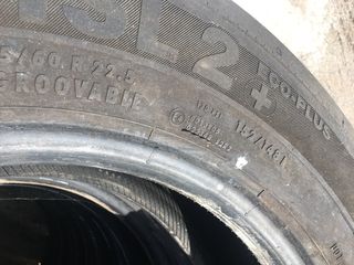 continental-thumb-6