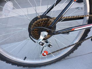 All - Mountain 2022 TEC SAFIR 24''-thumb-3
