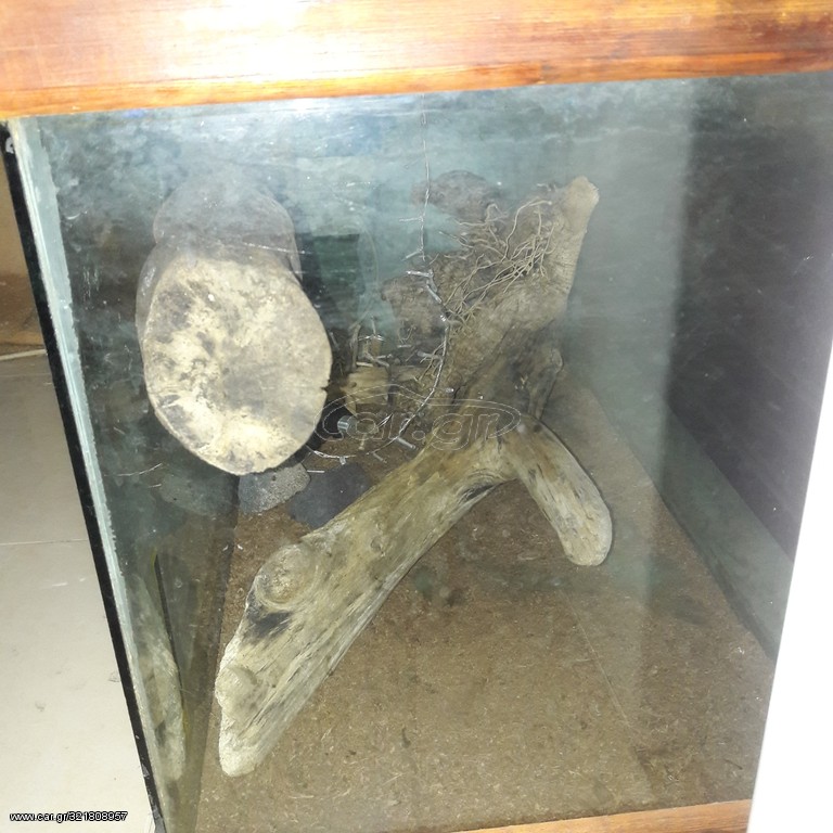TERRARIUM 77Χ50Χ42