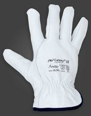 Γάντια δερμάτινα με επένδυση φλις Galaxy Arctic 256