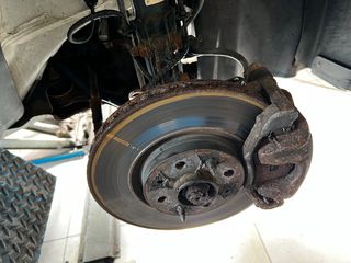 ΒΑΦΗ*****ΣΑΣΙ ΔΑΓΚΑΝΕΣ****** ΑΠΟ ΤΥΧΟΝ ΟΞΕΙΔΟΣΕΙΣ Η ΣΚΟΥΡΙΕΣ-thumb-19