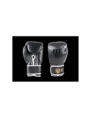 Boxing gloves Masters RbtBlack 12 oz 018051201