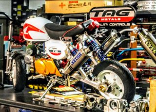 Jincheng Jintong 2021 z50 monkey-thumb-29