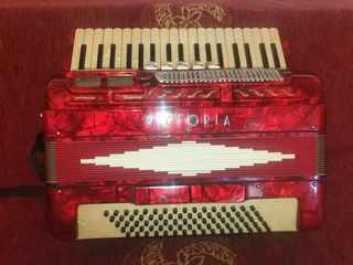 ΑΚΟΡΝΤΕΟΝ VICTORIA 80 BASSES-thumb-3