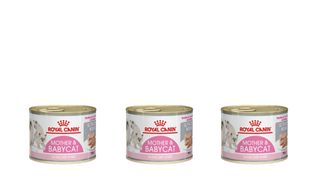 Κονσέρβα Royal Canin Mother & Babycat Ultra Soft Mousse Πλήρης Τροφή για Κυοφορούσες Ή Θηλάζουσες γάτες σε Κρεμώδης Μους Economy Pack 3 Τεμ. x 195gr