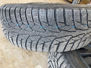 Ζαντολάστιχα σε άριστη κατάσταση 4x100-thumb-4
