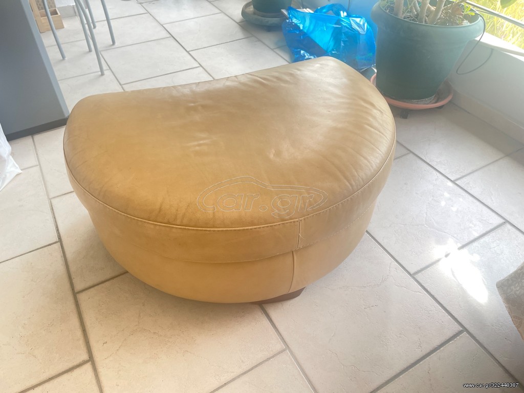 Δερμάτινο καθισμα NATUZZI