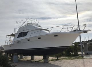 Luhrs 1989 34' Tournament-thumb-1