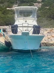 Luhrs 1989 34' Tournament-thumb-17