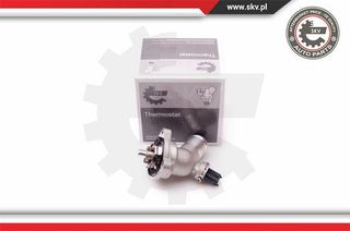 ΘΕΡΜΟΣΤΑΤΗΣ CHEVROLETSpark,96988257 20SKV065 25192923 96988257 25199831 96988257