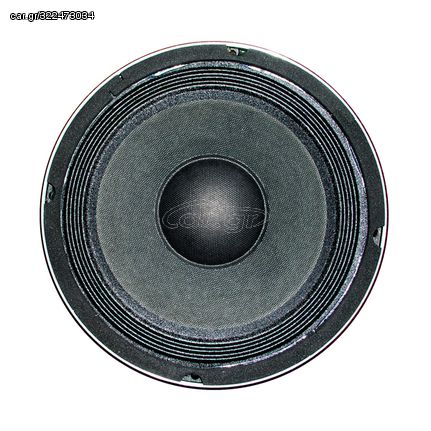 SUBWOOFER 250W PS-841