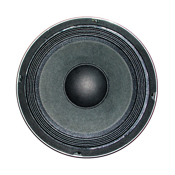 SUBWOOFER 250W PS-841