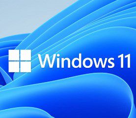 MS WINDOWS DSP 11 PRO 64-BIT GR