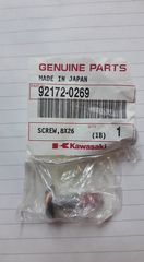 ΒΙΔΑ KAWASAKI ΖΧ10R