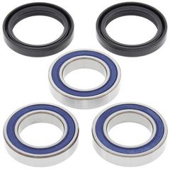 ΡΟΥΛΕΜΑΝ & ΤΣΙΜΟΥΧΕΣ ΤΡΟΧΟΥ ΠΙΣΩ CRF250/450R RMZ250/450 25-1250 | ALL BALLS