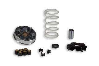 ΒΑΡΙΑΤΟΡ MULTIVAR 2000 SCOOTER ATV DIO ZX 50 AF34 AF35 MAXXER 50, DJ50 517484 | MALOSSI