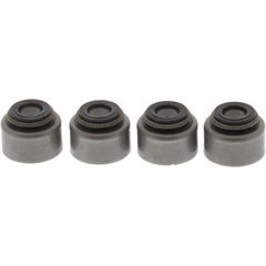 ΤΣΙΜΟΥΧΑΚΙΑ ΒΑΛΒΙΔΩΝ BMW, HUSABERG, HUSQVARNA, KTM 7342670 (4τεμ) | JMP