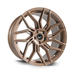 Barracuda Dragoon higloss-bronze 10x20-thumb-2