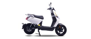 Motron Whizz 2022
