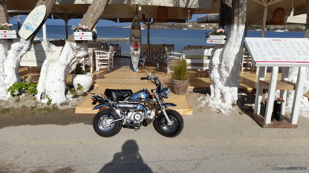 Jincheng Jintong 2021 z50 monkey