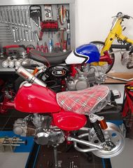 Jincheng Jintong 2021 z50 monkey-thumb-102