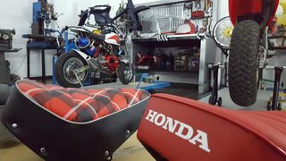 Jincheng Jintong 2021 z50 monkey-thumb-54