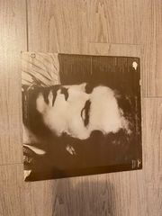 VAN MORRISON/Into the Music-thumb-1