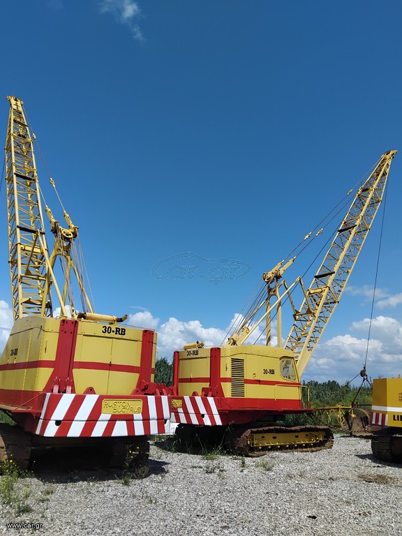 Γερανοί 2006 RUSTON BUCURYS 30