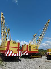 Γερανοί 2006 RUSTON BUCURYS 30