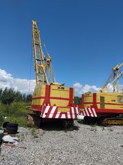 Γερανοί 2006 RUSTON BUCURYS 30-thumb-6