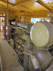 Γερανοί 2006 RUSTON BUCURYS 30-thumb-15
