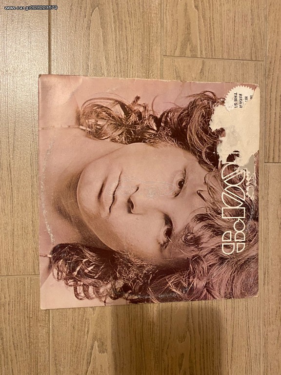 The Doors 
