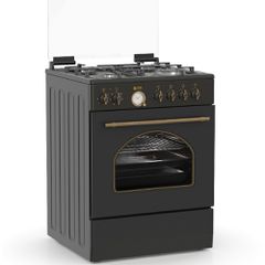 Κουζίνα μεικτή TGS 4310 ANTH TURBO Thermogatz